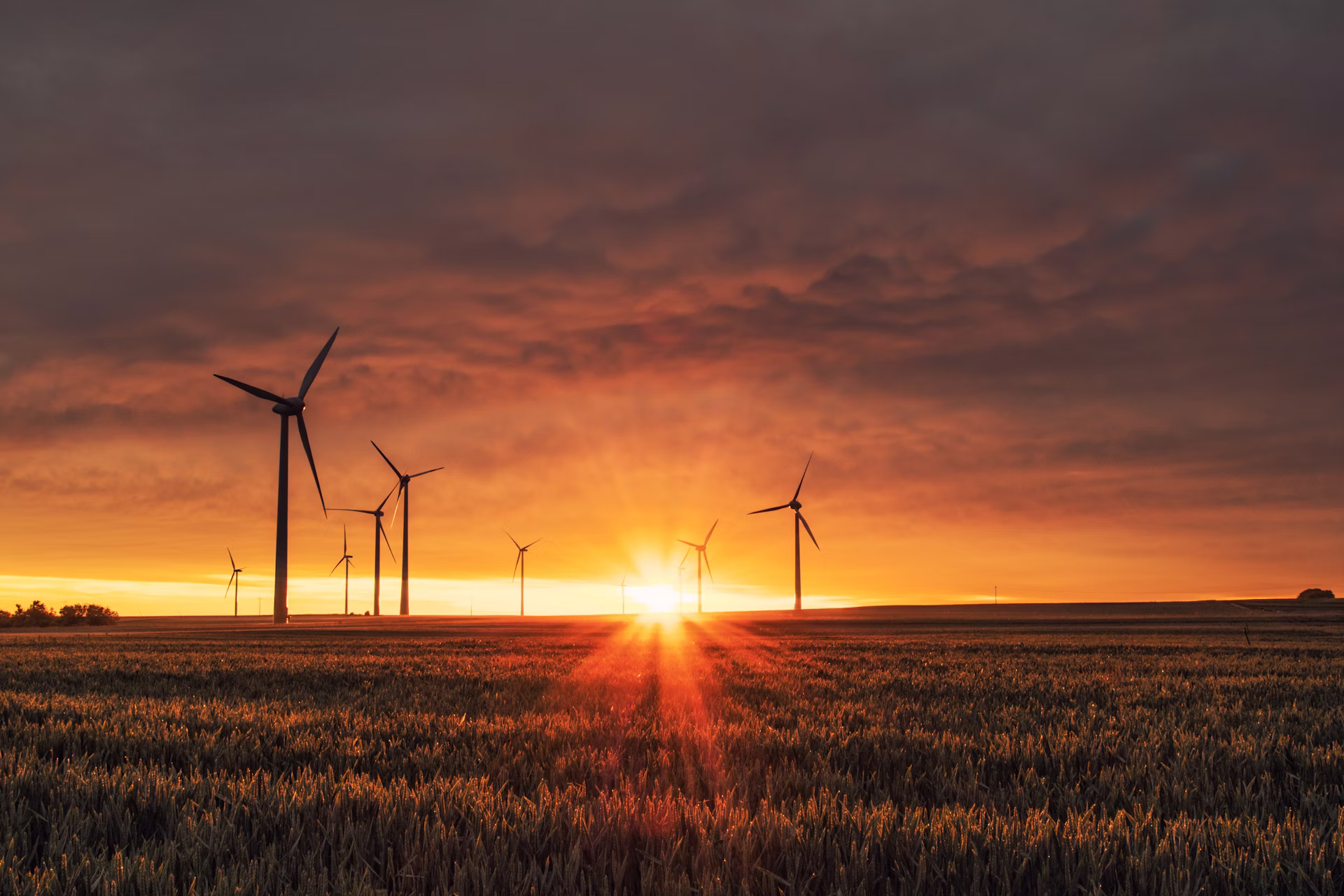 Green energy field